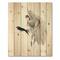 Designart - Vintage Australian Bird Illustrations II - Traditional Print on Natural Pine Wood